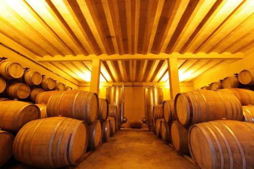 O'vineyards B&B Carcassonne