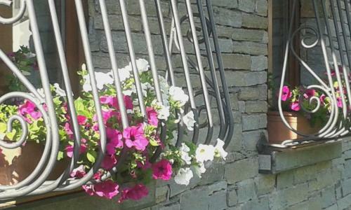 Apartamento Casa Vacanza Dal Contadino