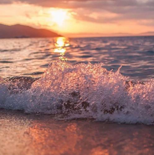 Sea Pearl Luxury Apartments