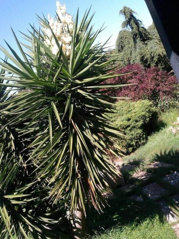 B&B Villa Sans Souci