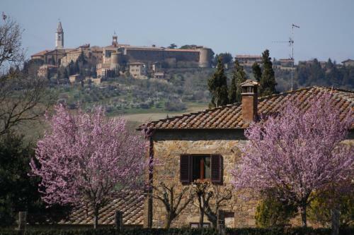 Agroturismo Agriturismo Casalpiano