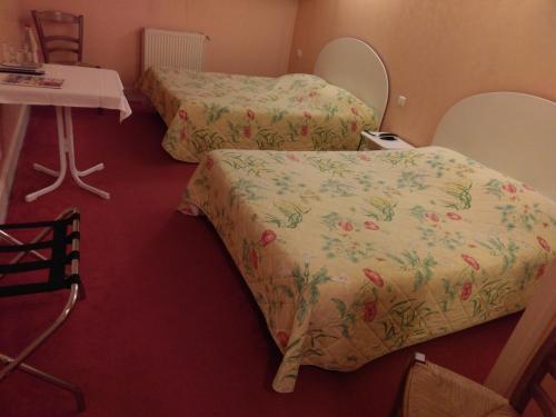 Hotel Logis De L'europe Restaurant Le Cepage