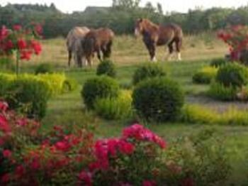 Bed & Breakfast Manoir De La Branche