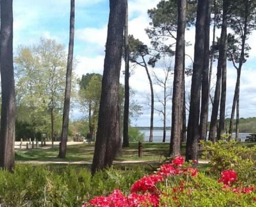 Hotel Du Lac