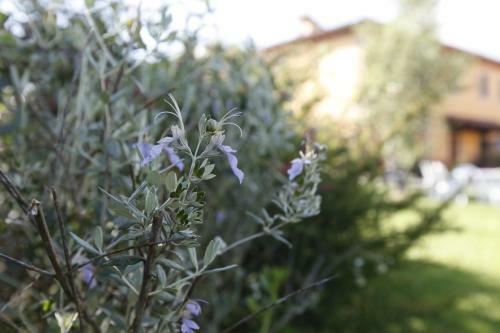 Casa Vacanza Podere Chiantini