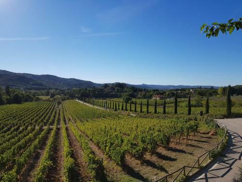 Agroturismo Villa Cilnia Relais & Spa