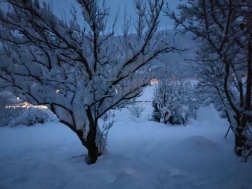 Euroski B&B