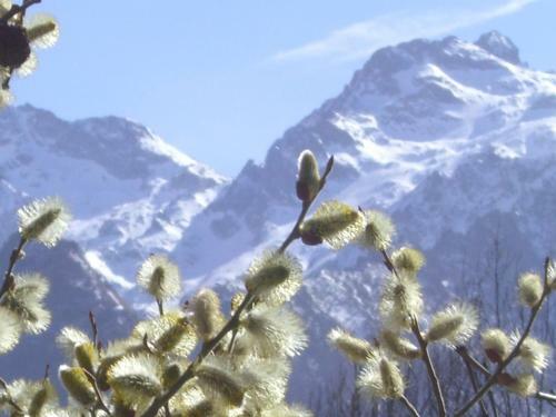 Aktiv Hotel Alpi Marittime