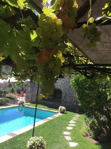 Villa C�te D'azur View Of Cannes Bay