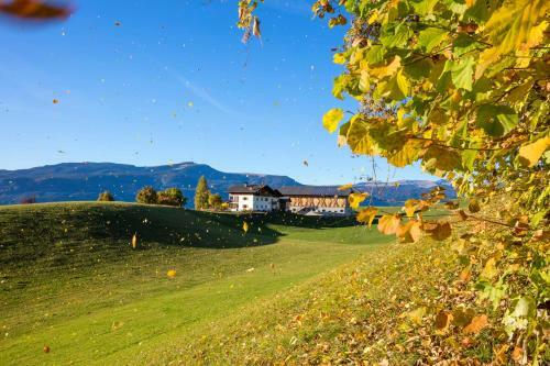 Agroturismo Treffhof