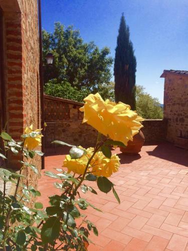 Agroturismo Tenuta Lupinari