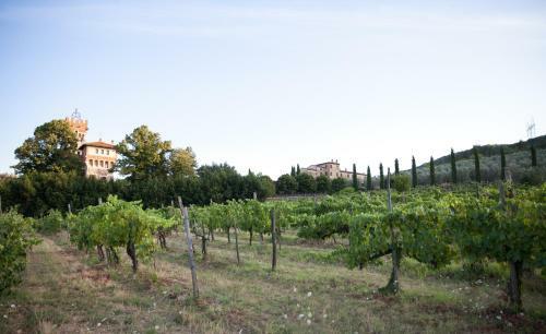 Agroturismo Tenuta Lupinari