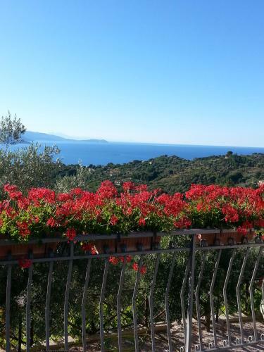 Hotel Villa Mareluna
