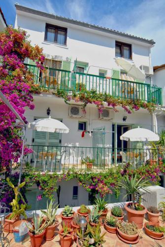 Hostal Aiolos House