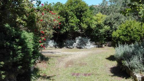 Giardini Irlandesi B&B