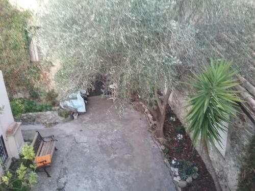 Bed & Breakfast Petite Fleur D'azur
