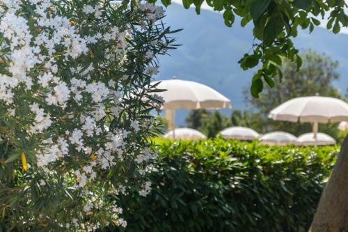 Park Hotel Zanzan�
