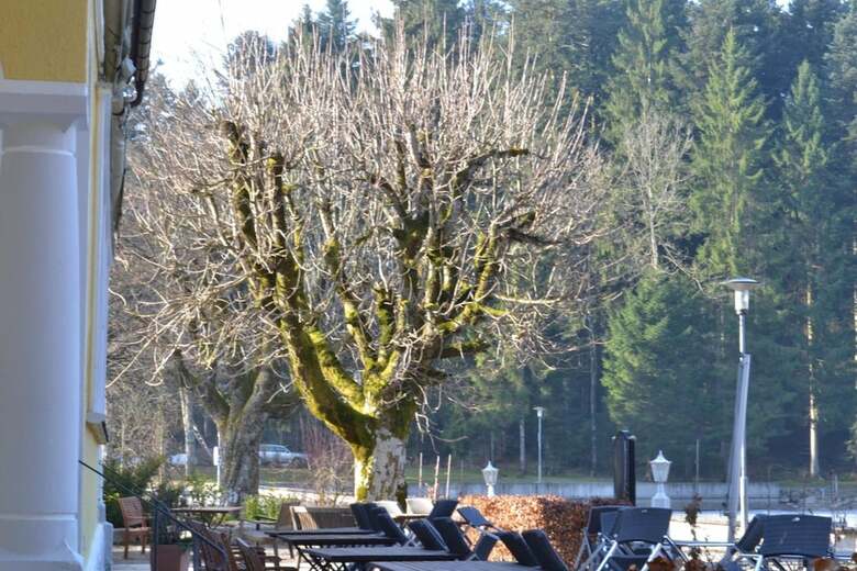 Hotel Waldsee