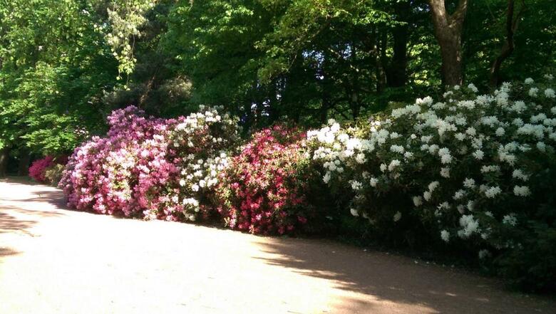 Congress Hotel Am Stadtpark