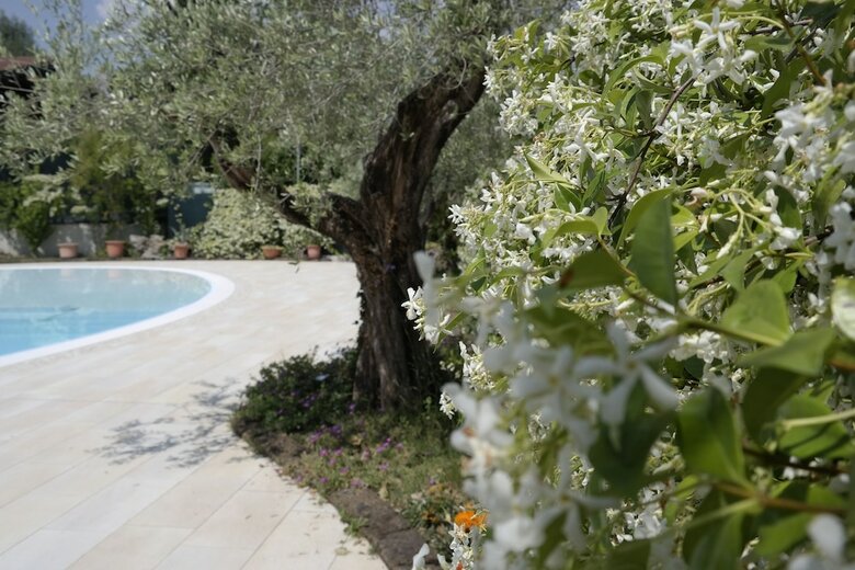 Campeggio Delle Rose