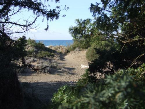 Apartamento Vacanze Toscane In The Country