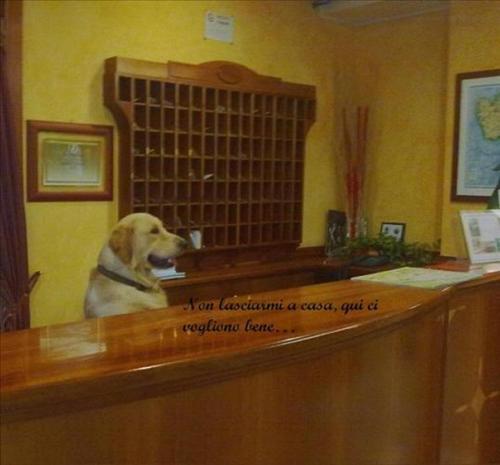 Hotel Riz