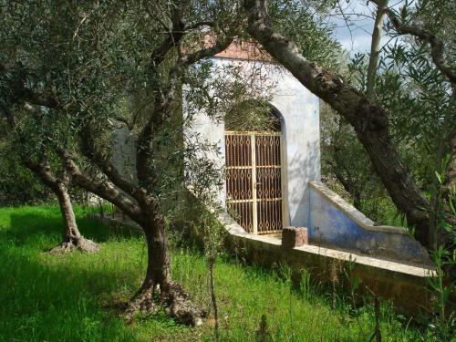 Bed & Breakfast Villa Maggiulli Alfieri - Dimora Storica