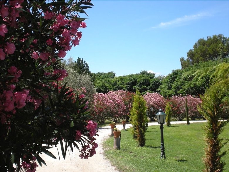 Hotel L'hacienda
