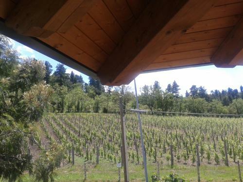 Agroturismo U' Cecere Agriturismo