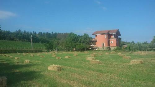Agroturismo U' Cecere Agriturismo