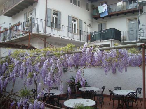 Hostal Hotel Marchi