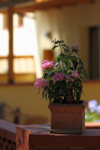 Apartamento Cala Blanca Resort