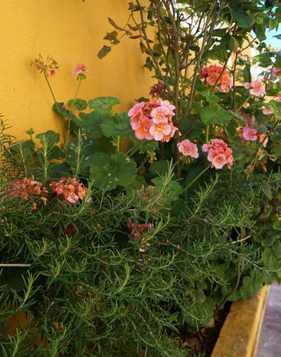Agroturismo Villa Zoila