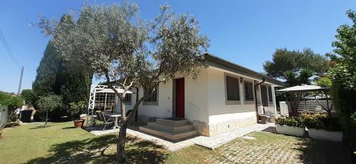 Gens Mundi B&B