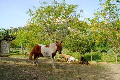 Agroturismo Agriturismo L'arca Di Anna Brambilla