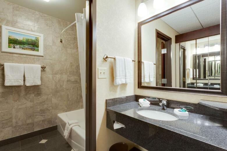 Hotel Drury Plaza St. Louis At The Arch