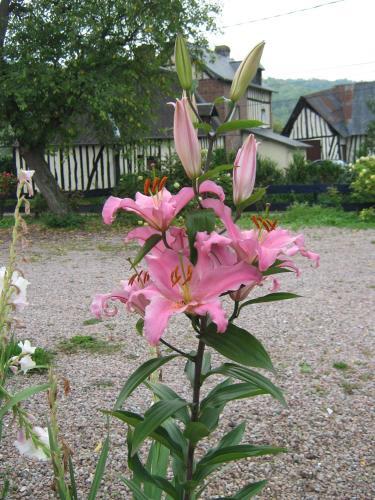 Bed & Breakfast Chambres D'h�tes Le Relais Du Passage De La Roche