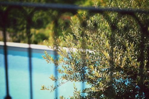 Apartment Bonheur & Boh�me