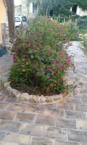 Bed & Breakfast Chambres D'h�tes Le Bourdieu