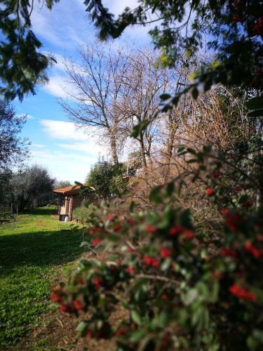 Agroturismo Podere La Branda