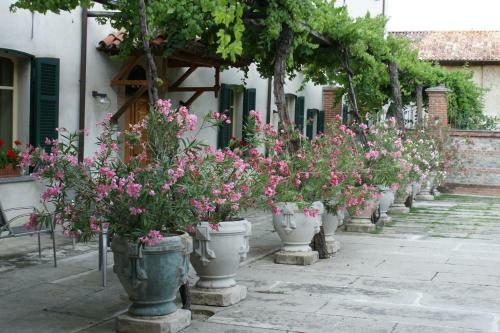 Agroturismo Agriturismo Terensano