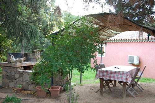 Hostal Agriturismo L'aglientu B&B