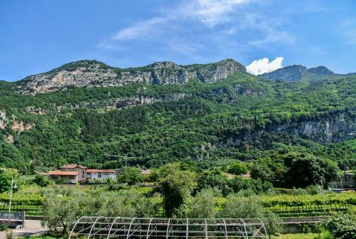 Agroturismo Agritur Stefenelli