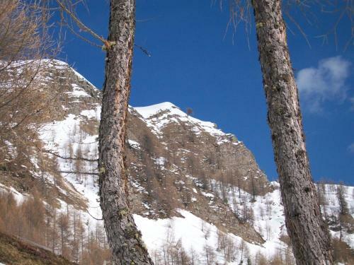 Hotel Pensione Dolomiti