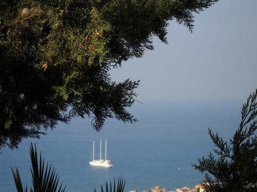 Hostal Villa Stefania