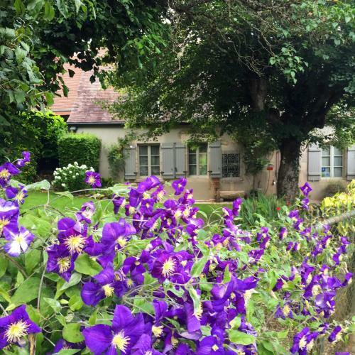 Bed & Breakfast Chateau Vue Boussac Chambres D'h�tes