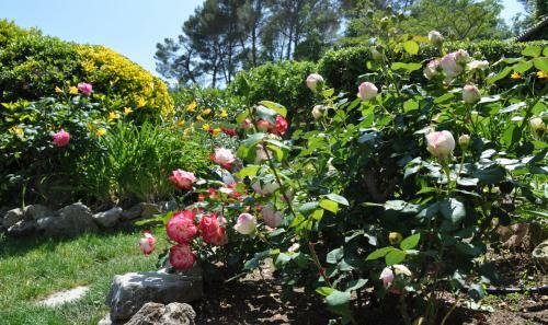 Bed & Breakfast La B�gude Du Pascouren