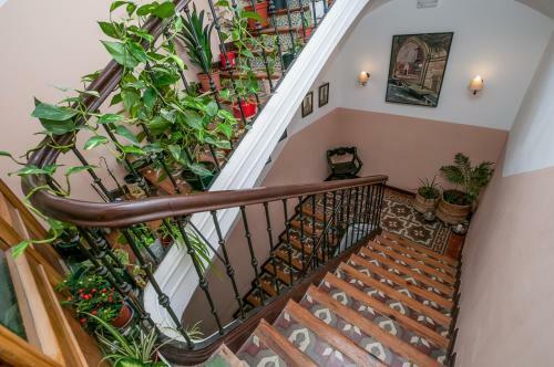 Hotel Los Balcones Del Camino