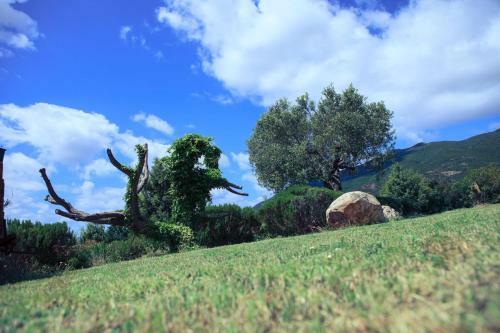 Agroturismo Agriturismo Il Ginepro