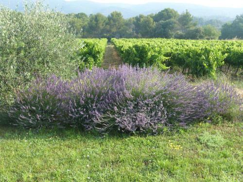 Bed & Breakfast Maison D'h�tes Bastide St Victor